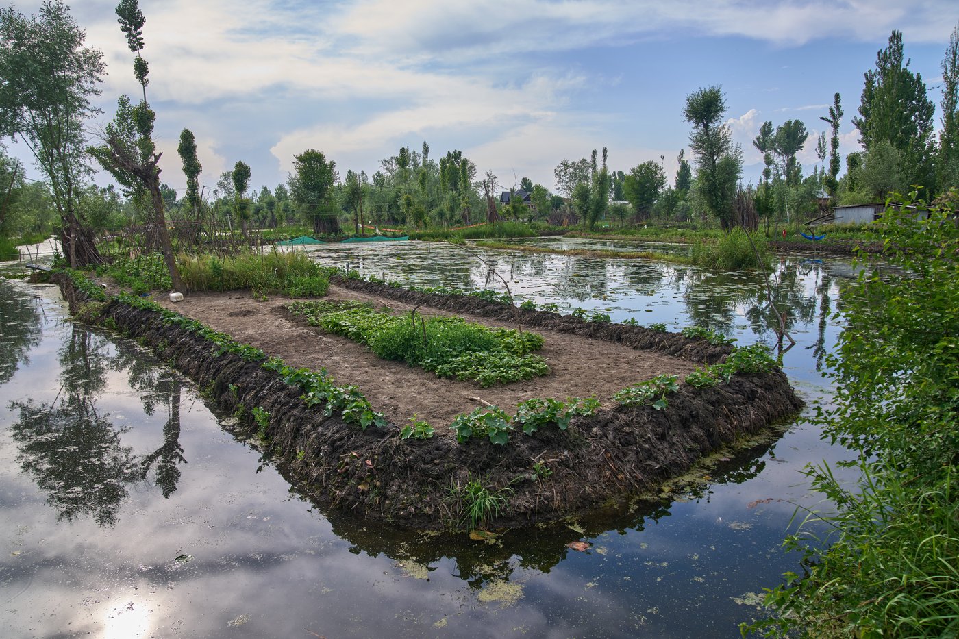 Warming climate, pollution and unplanned growth push Kashmir’s lakes toward disappearance | iNFOnews.ca Warming climate, pollution and unplanned growth push Kashmir’s lakes toward disappearance | iNFOnews.ca