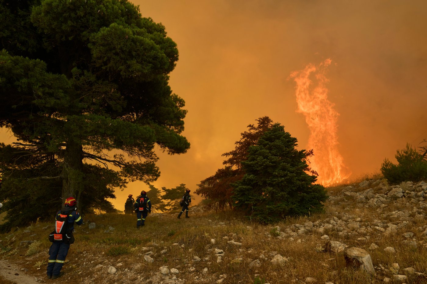 This summer isn't breaking heat records -- yet. Wait till El Nino kicks in, scientists say | iNFOnews.ca This summer isn't breaking heat records -- yet. Wait till El Nino kicks in, scientists say | iNFOnews.ca