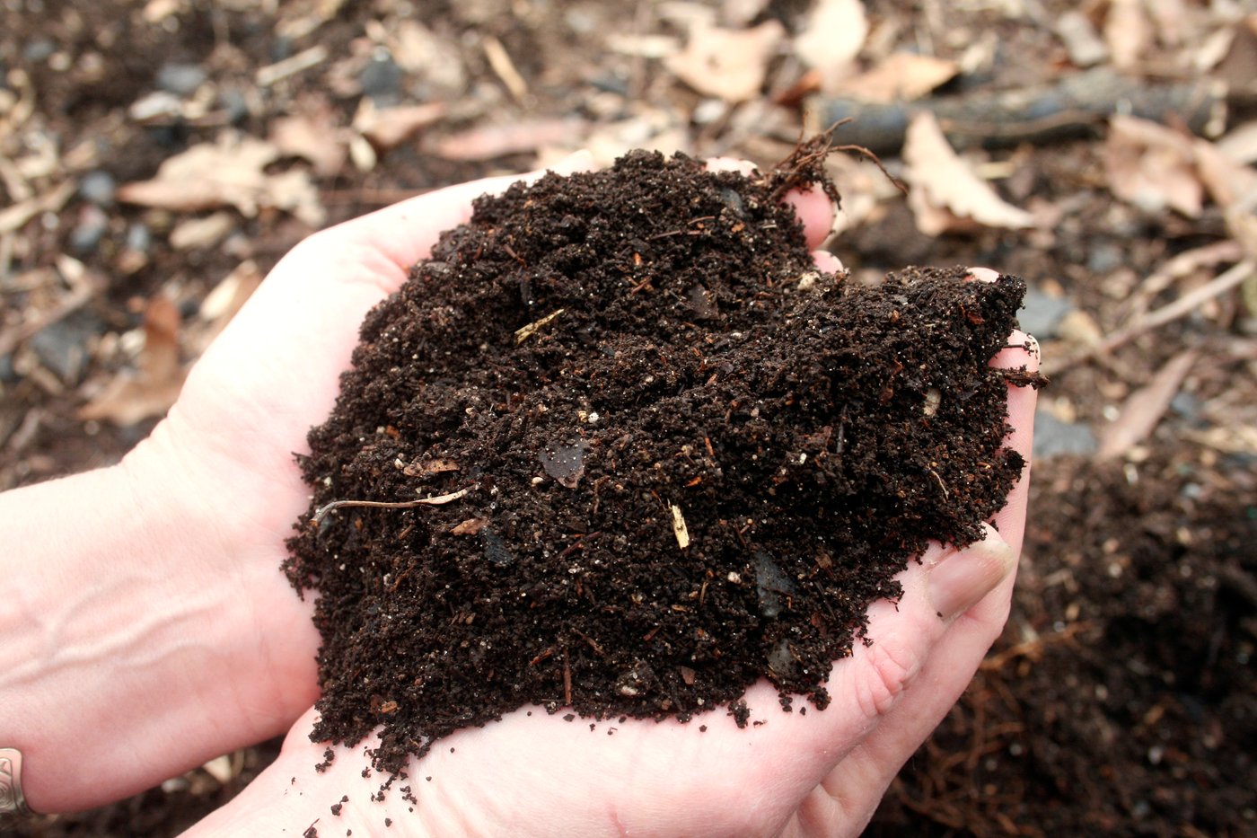 Gardeners often hear about supposed hacks and quick fixes. Here are some common ones debunked | iNFOnews.ca Gardeners often hear about supposed hacks and quick fixes. Here are some common ones debunked | iNFOnews.ca
