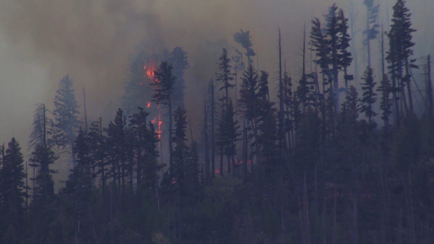 Small medical plane crashes in New Mexico mountains, killing all 4 people aboard | iNwheels