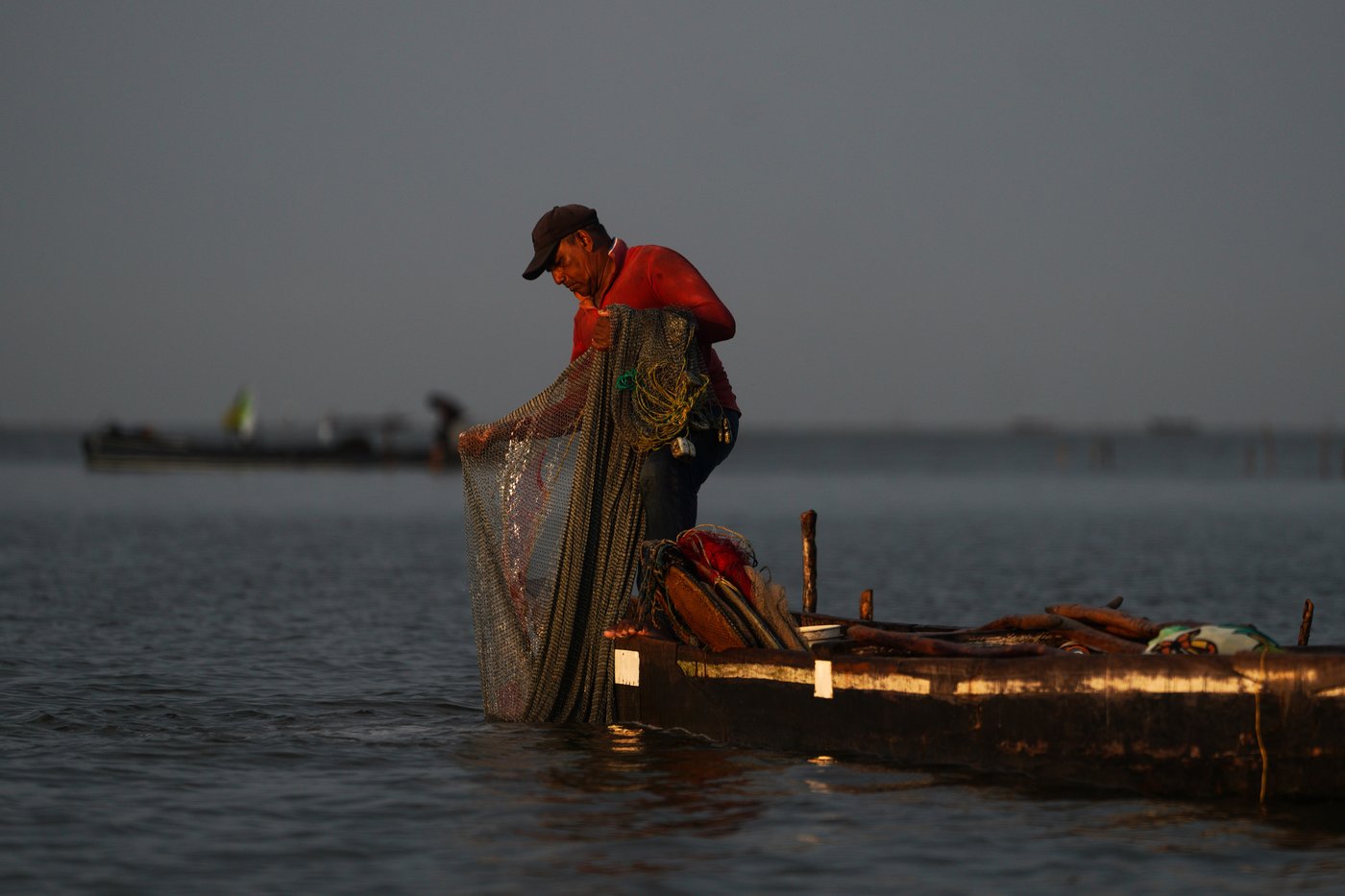 Invasive plant threatens livelihoods in Colombia’s largest coastal wetland | iNFOnews.ca