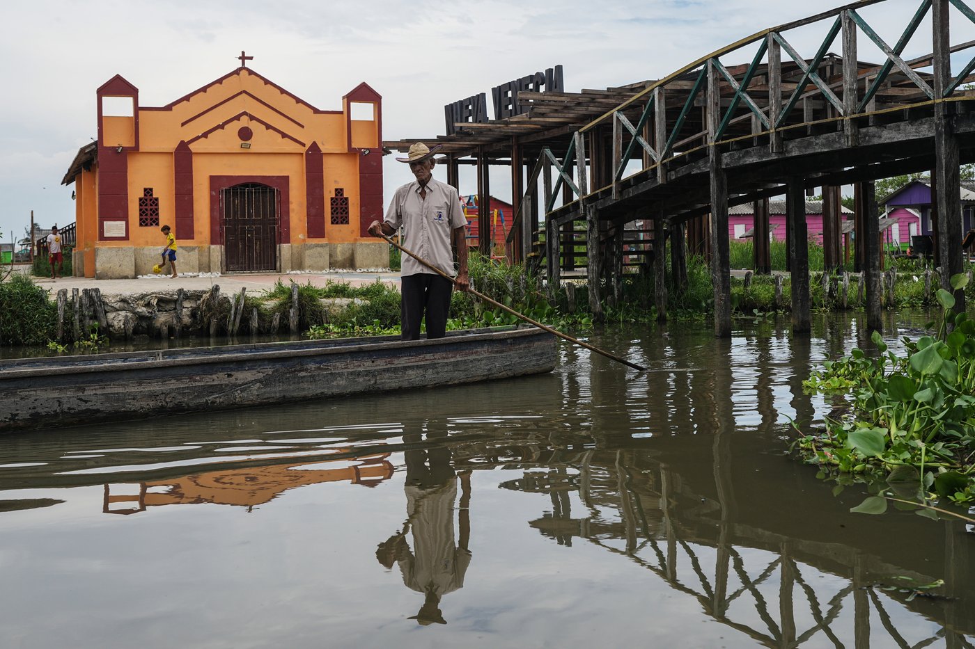 Invasive plant threatens livelihoods in Colombia’s largest coastal wetland | iNFOnews.ca
