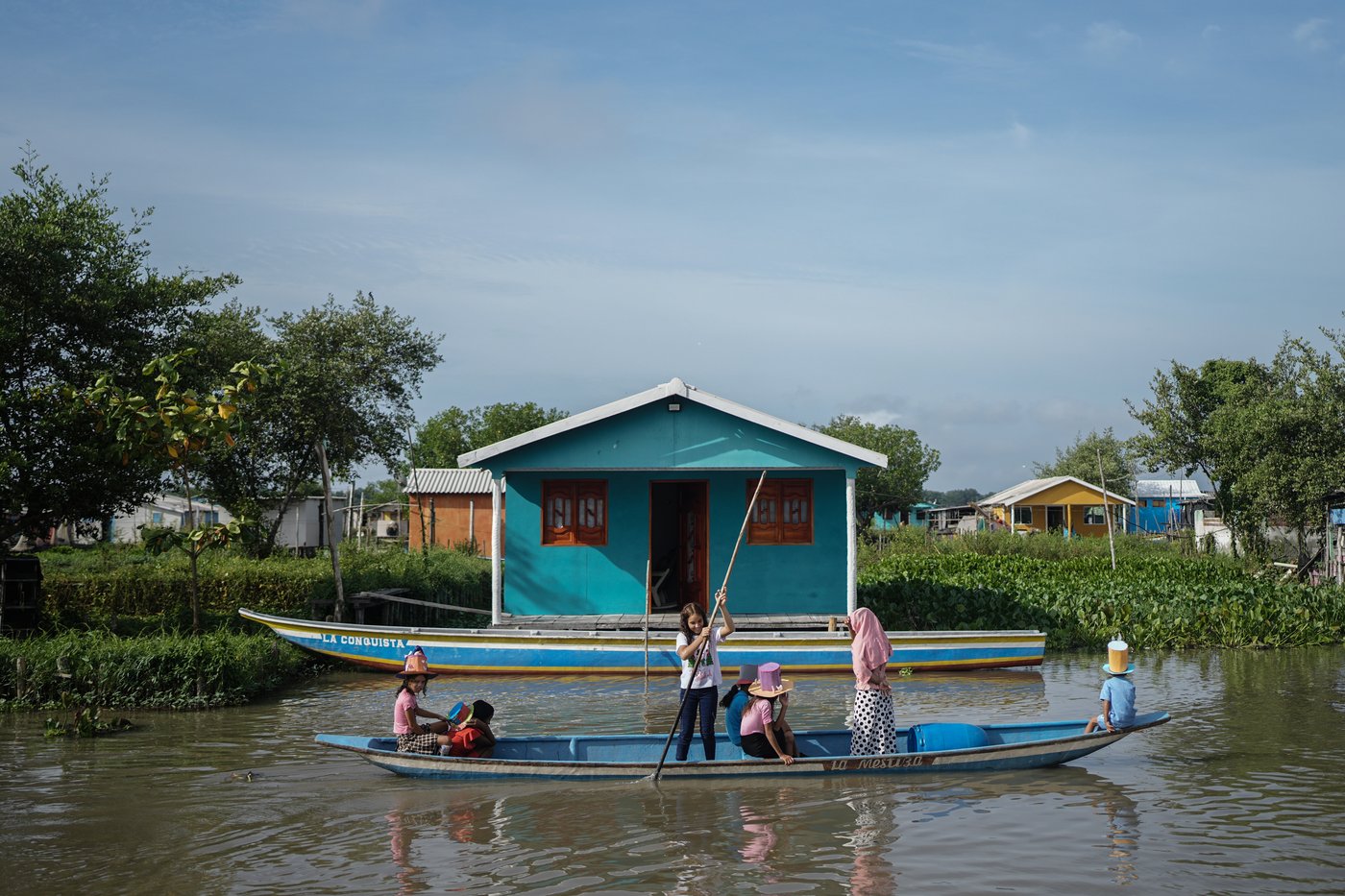 Invasive plant threatens livelihoods in Colombia’s largest coastal wetland | iNFOnews.ca