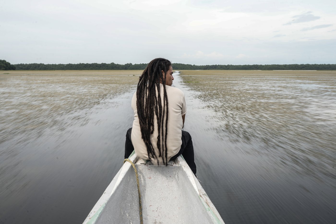 Invasive plant threatens livelihoods in Colombia’s largest coastal wetland | iNFOnews.ca