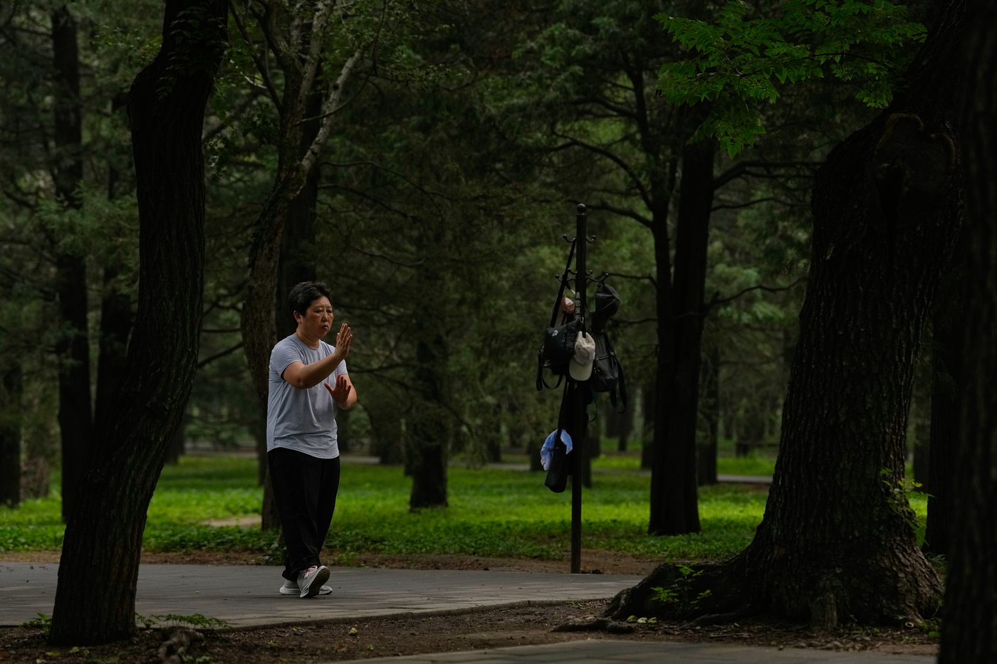 Tai chi practitioners seek balance and well-being in fast-paced Beijing | iNFOnews.ca Tai chi practitioners seek balance and well-being in fast-paced Beijing | iNFOnews.ca