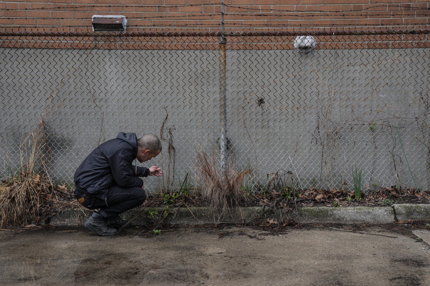 How 're-wilding' can make Canada's cityscapes more climate resilient and bee friendly | iNFOnews.ca