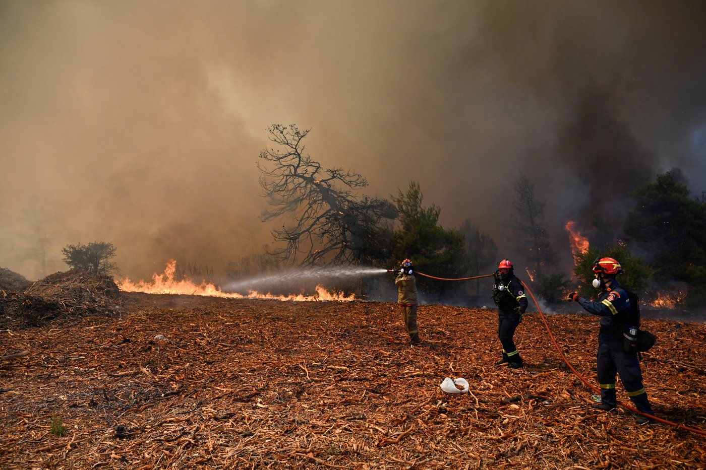 Fotos mostram destruição causada por incêndios florestais na Grécia enquanto incêndios se espalham pela Europa e partes dos EUA | iNwheels