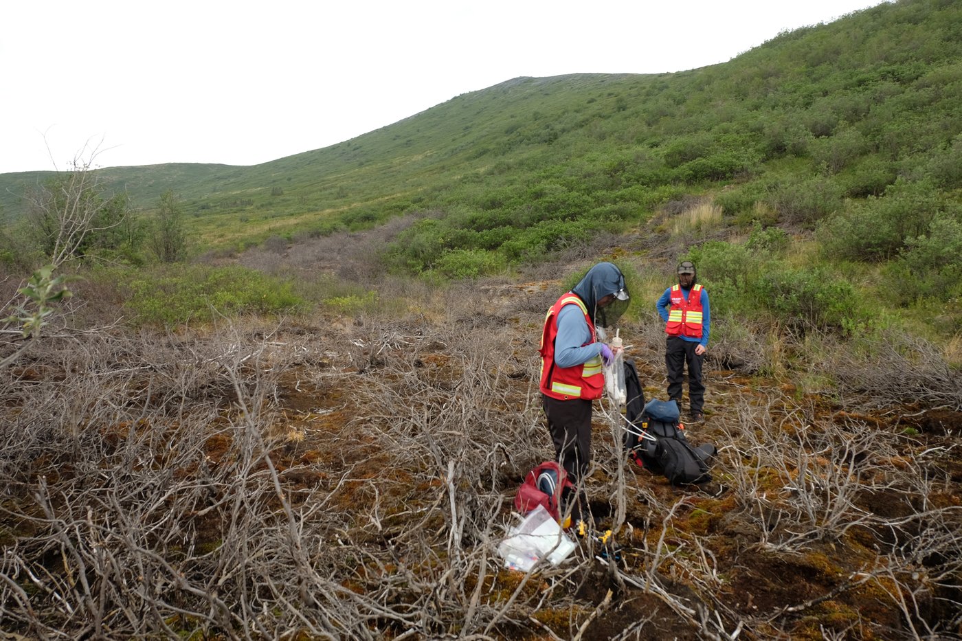 As permafrost thaws, some headwaters in Canada's North turn orange and toxic: study | iNFOnews.ca