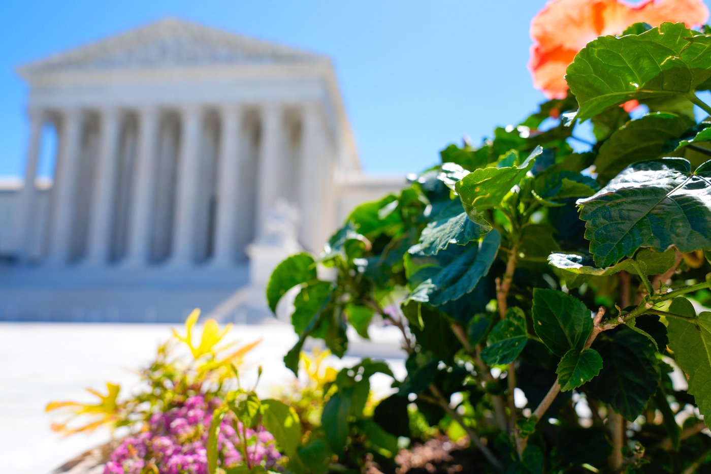 Supreme Court rules states can count late-arriving mailed ballots, rejecting Trump-led challenge | iNFOnews.ca Supreme Court rules states can count late-arriving mailed ballots, rejecting Trump-led challenge | iNFOnews.ca