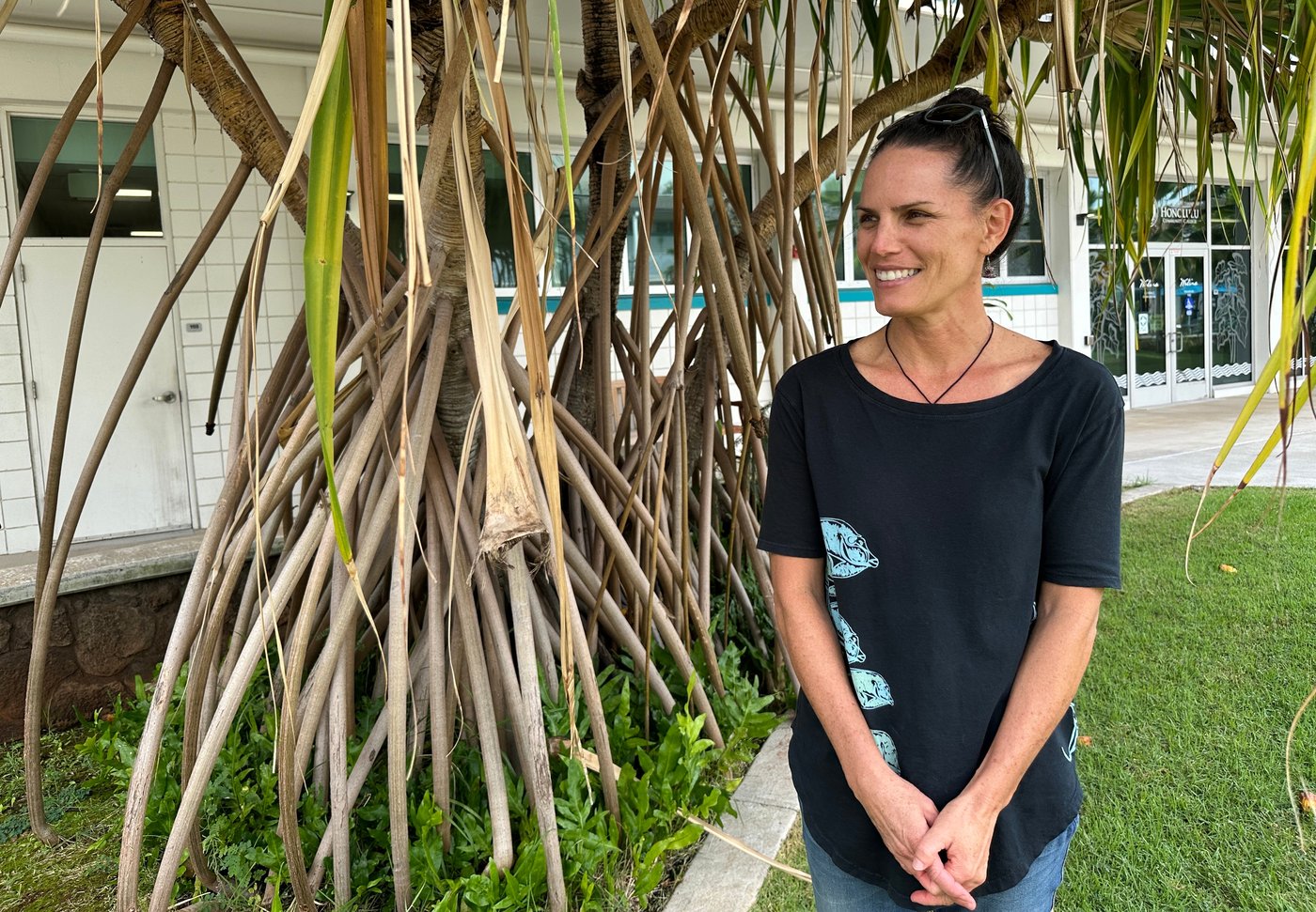 How a seabird native to Hawaii has adapted to life in Honolulu's concrete jungle | iNFOnews.ca