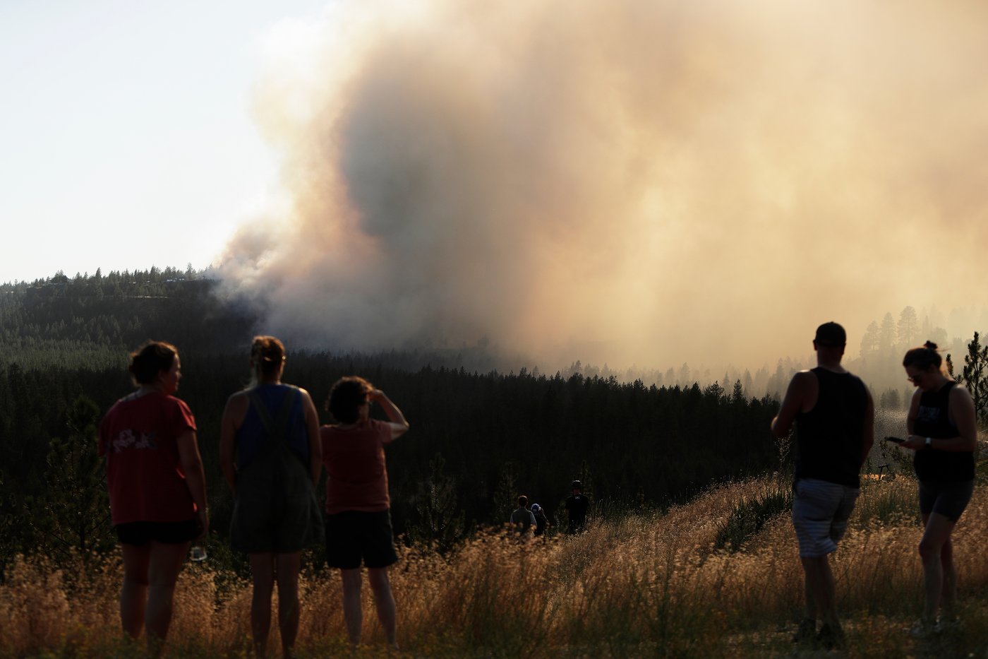 Fotos mostram destruição causada por incêndios florestais na Grécia enquanto incêndios se espalham pela Europa e partes dos EUA | iNwheels