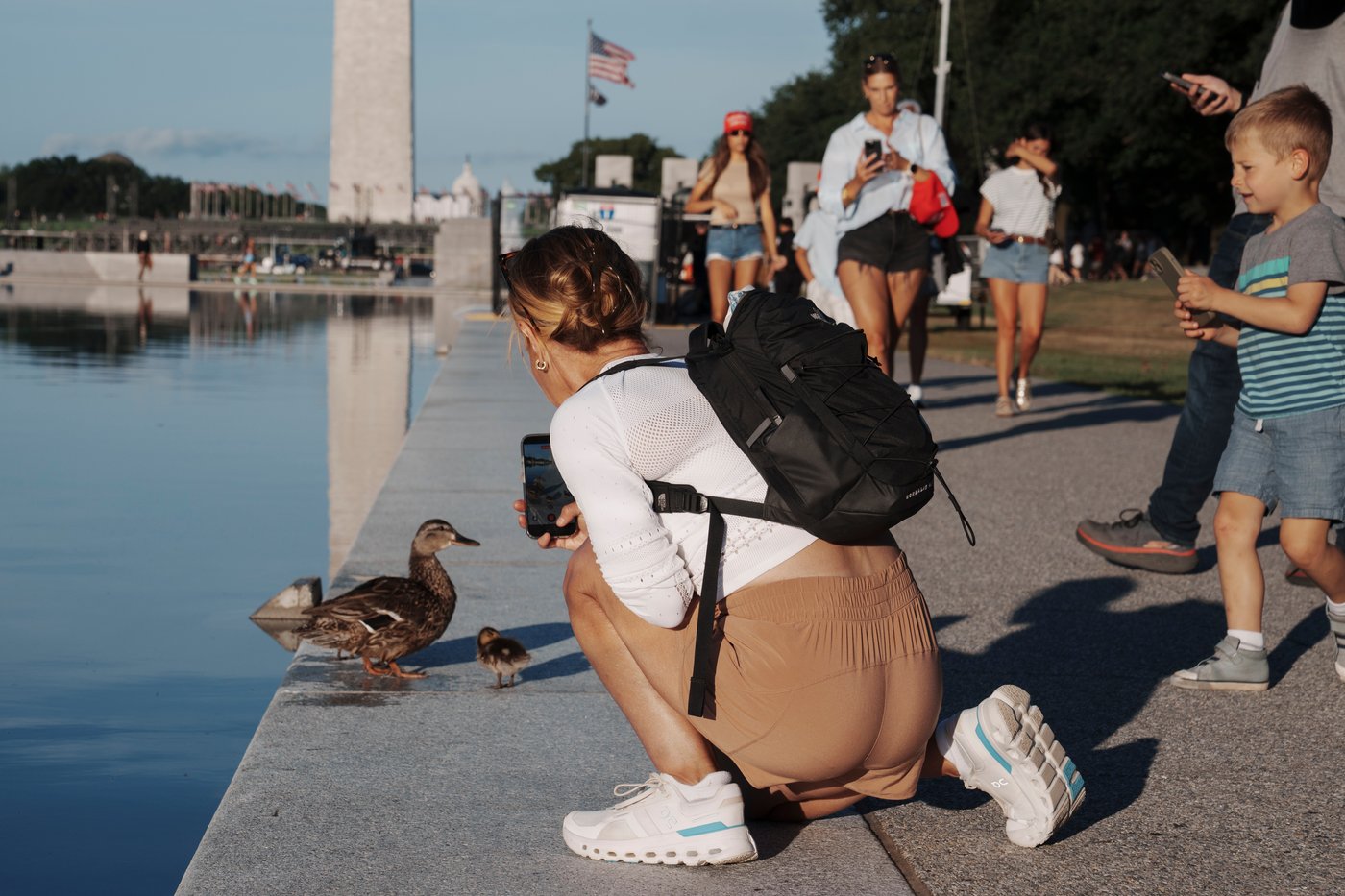 Troubled Reflecting Pool faces fresh scrutiny over vandalism claims and duck deaths | iNFOnews.ca