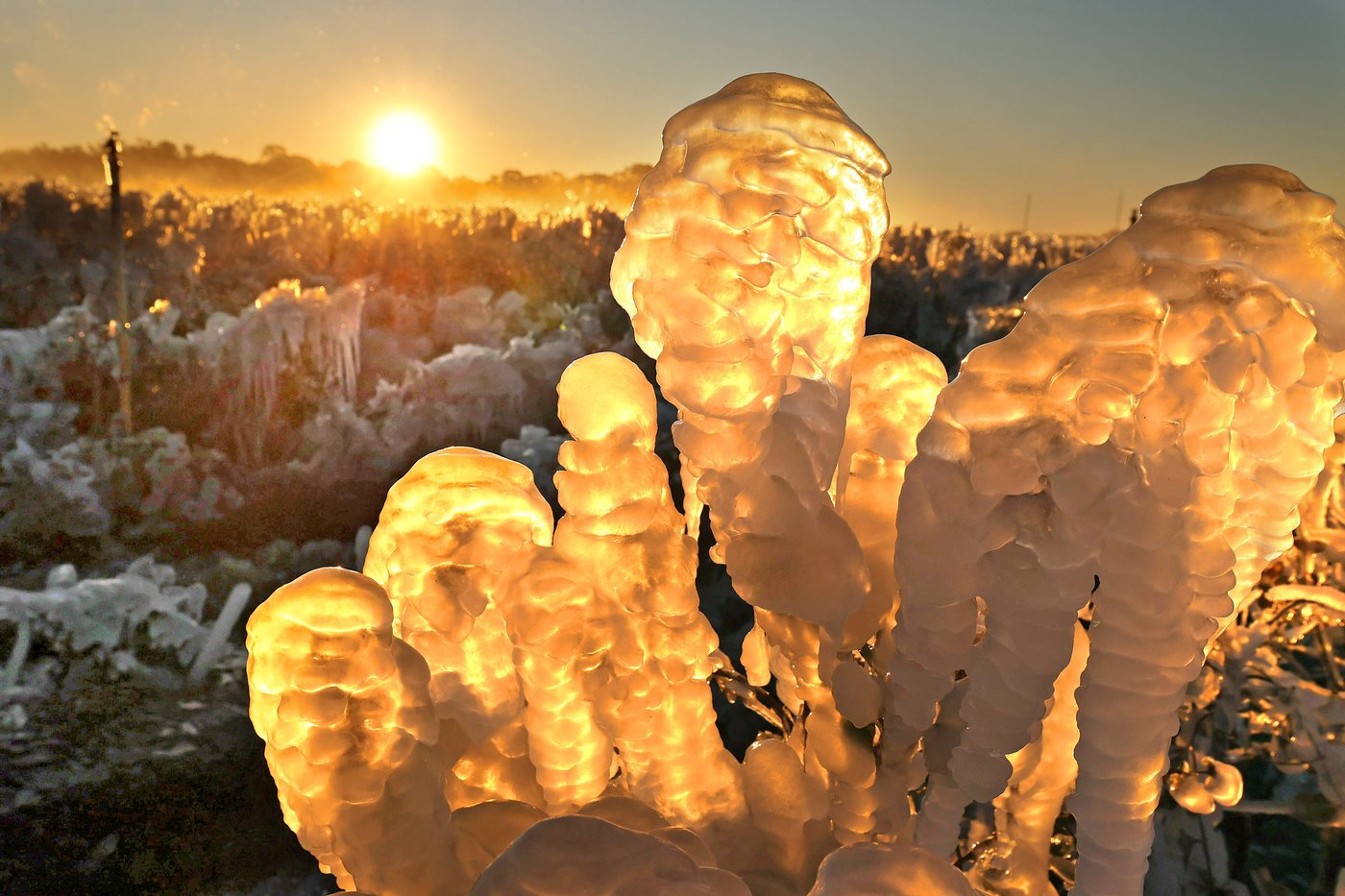 Southern US enters a second week of biting cold and prolonged outages | iNFOnews.ca Southern US enters a second week of biting cold and prolonged outages | iNFOnews.ca