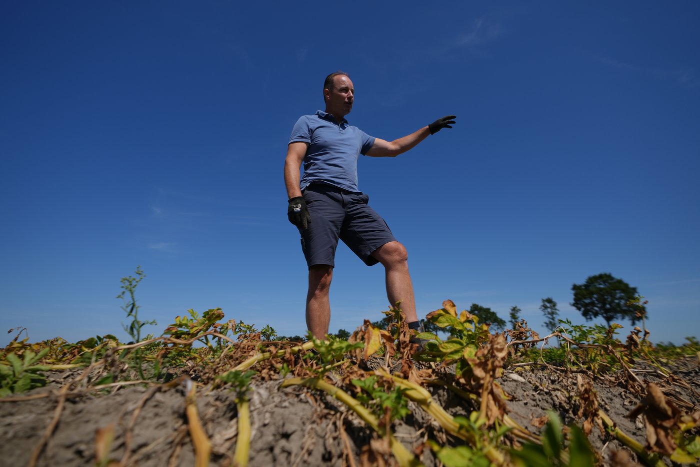 A punishing European drought shrivels crops from Dutch potatoes to Bosnian corn | iNFOnews.ca