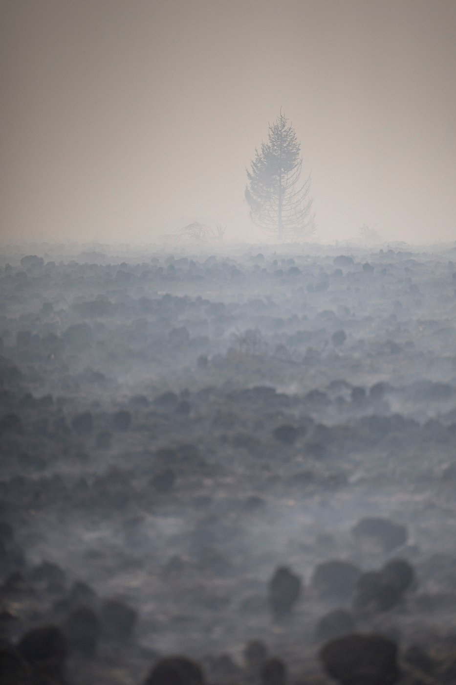 Belgian wildfire approaches Germany despite rain as Greece probes deadly blaze | iNFOnews.ca