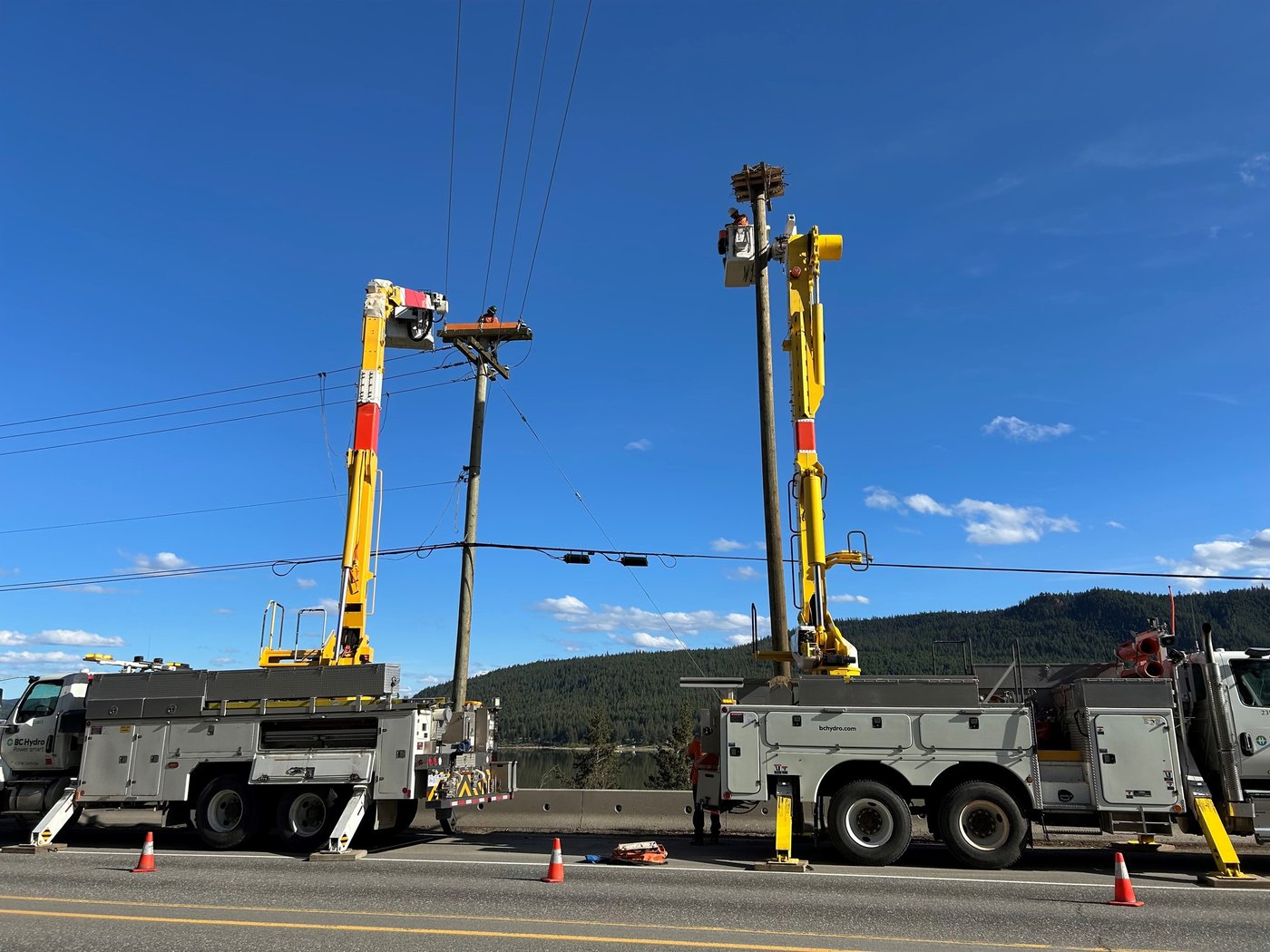 Shocking problem for osprey nests built on B.C. power poles prompts relocations | iNFOnews.ca
