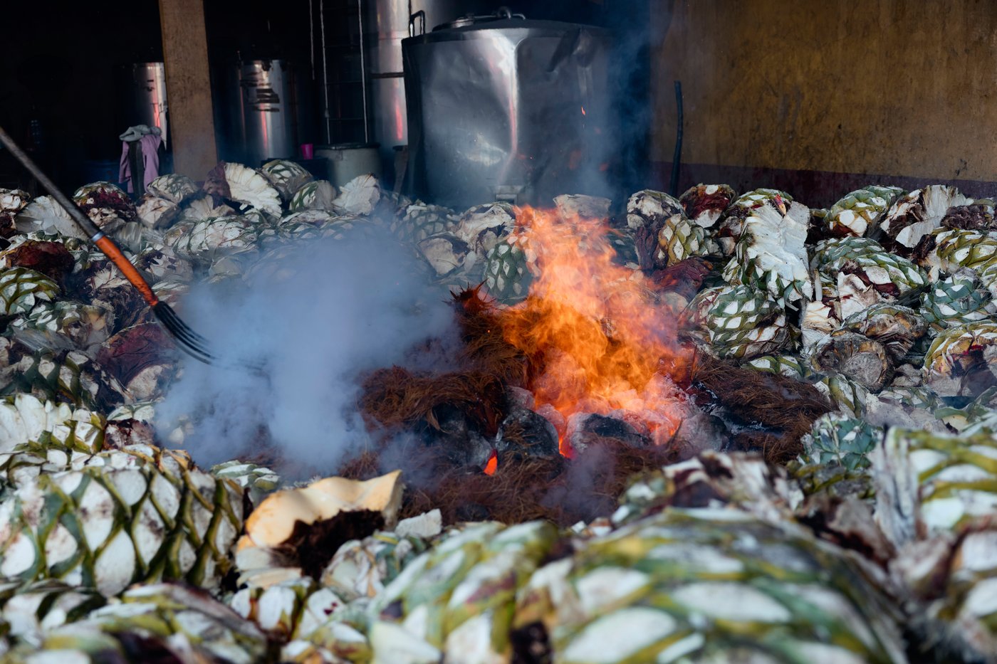 See how mezcal is made in Mexico | iNwine