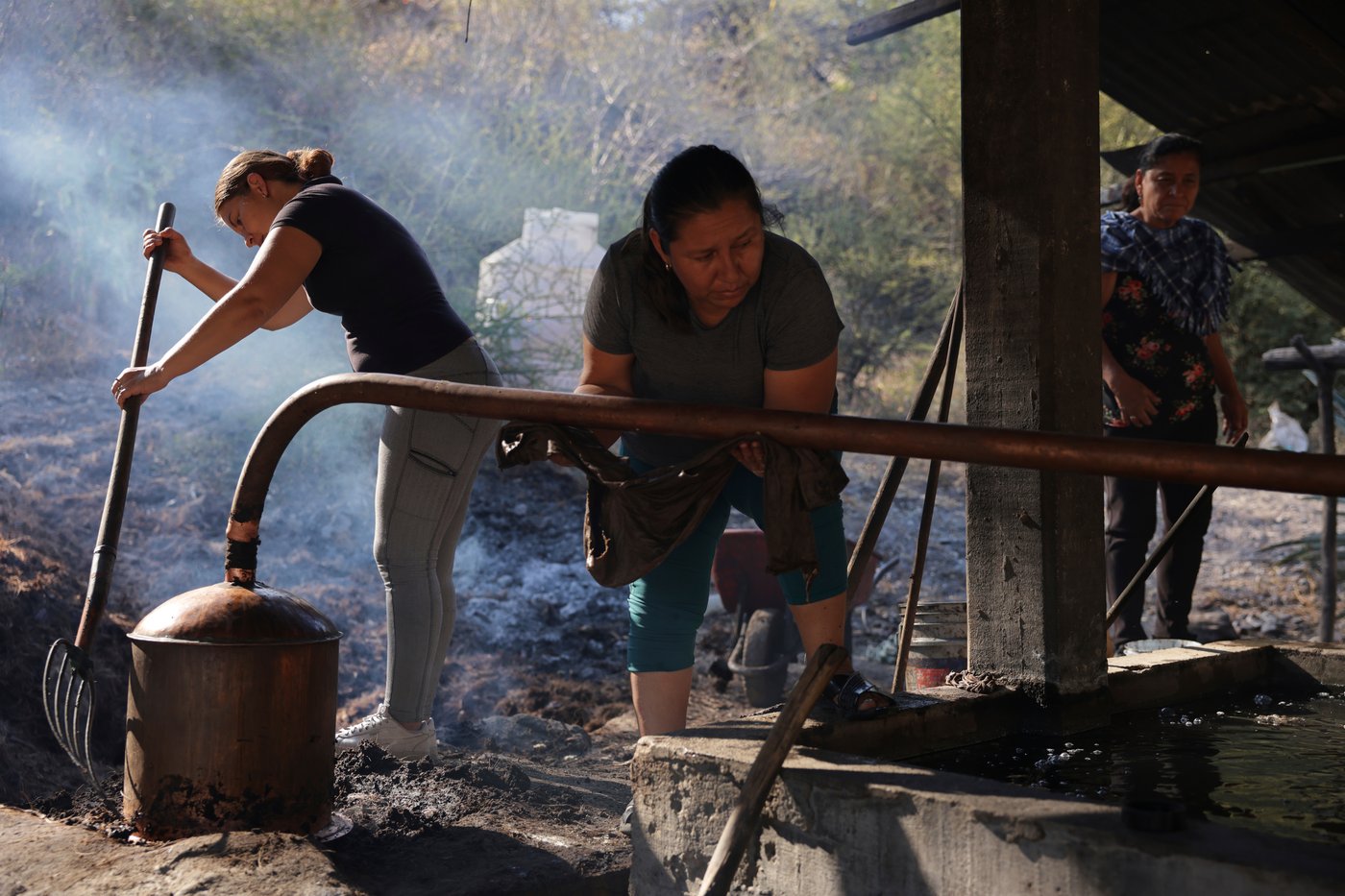See how mezcal is made in Mexico | iNwine