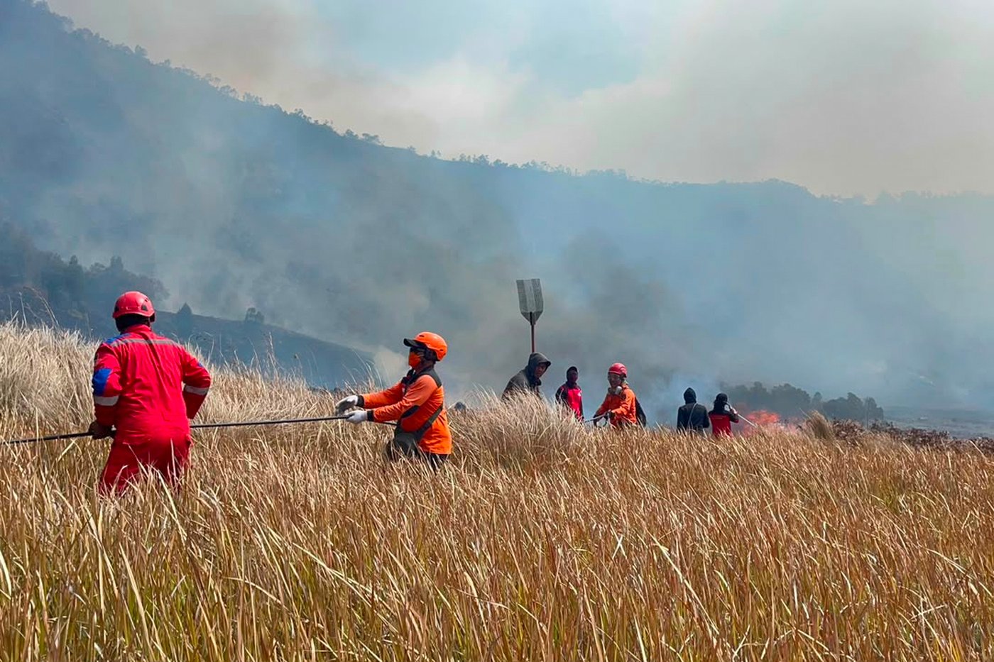 Fire burns 60 hectares in Indonesia’s Mount Bromo National Park | iNFOnews.ca Fire burns 60 hectares in Indonesia’s Mount Bromo National Park | iNFOnews.ca