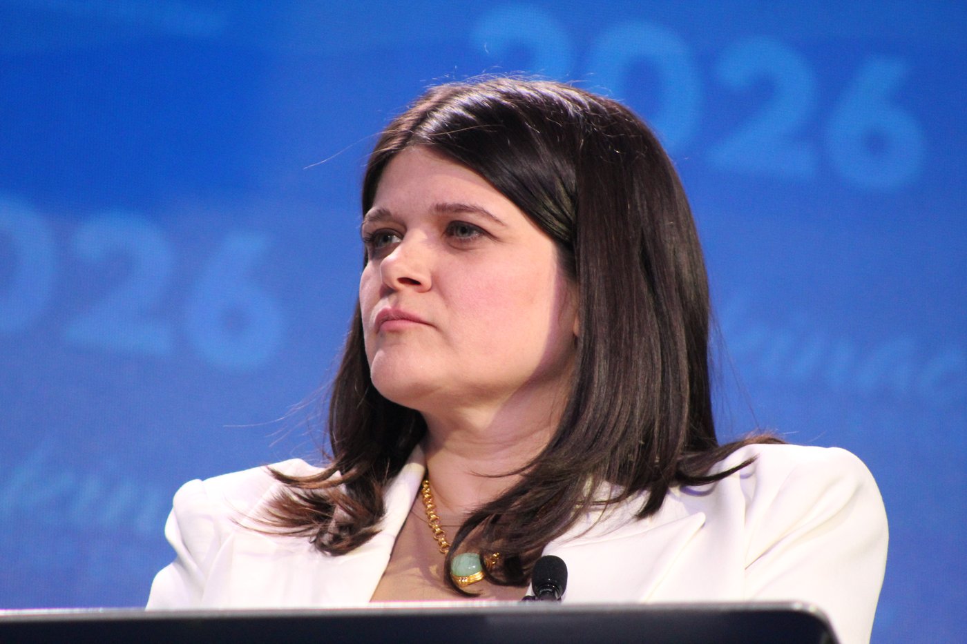 El-Sayed goes on offense as Michigan Democrats clash in Senate debate | iNFOnews.ca