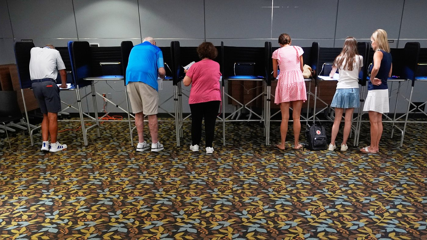Democratic primary turnout has soared in some states. Can it carry over to November? | iNFOnews.ca
