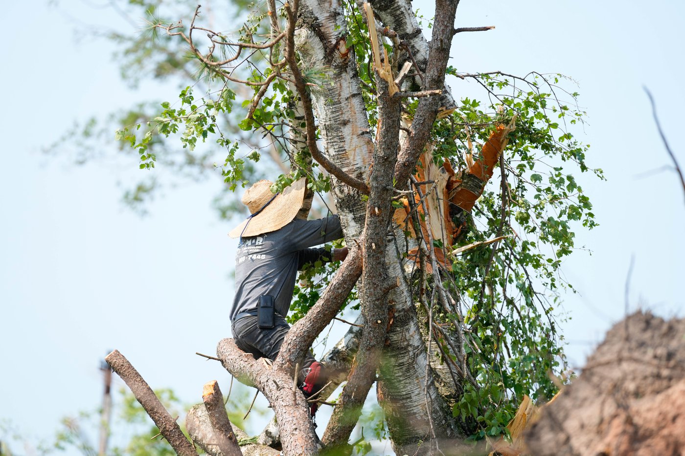 Twisted trees, crushed cars and shattered homes in Wisconsin, in photos | iNwheels