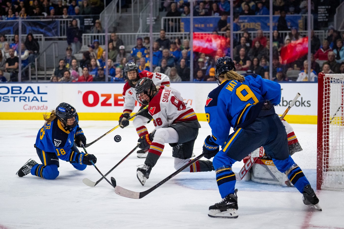 Ottawa’s PWHL playoff fate hinges on final game against Toronto Sceptres | iNFOnews.ca