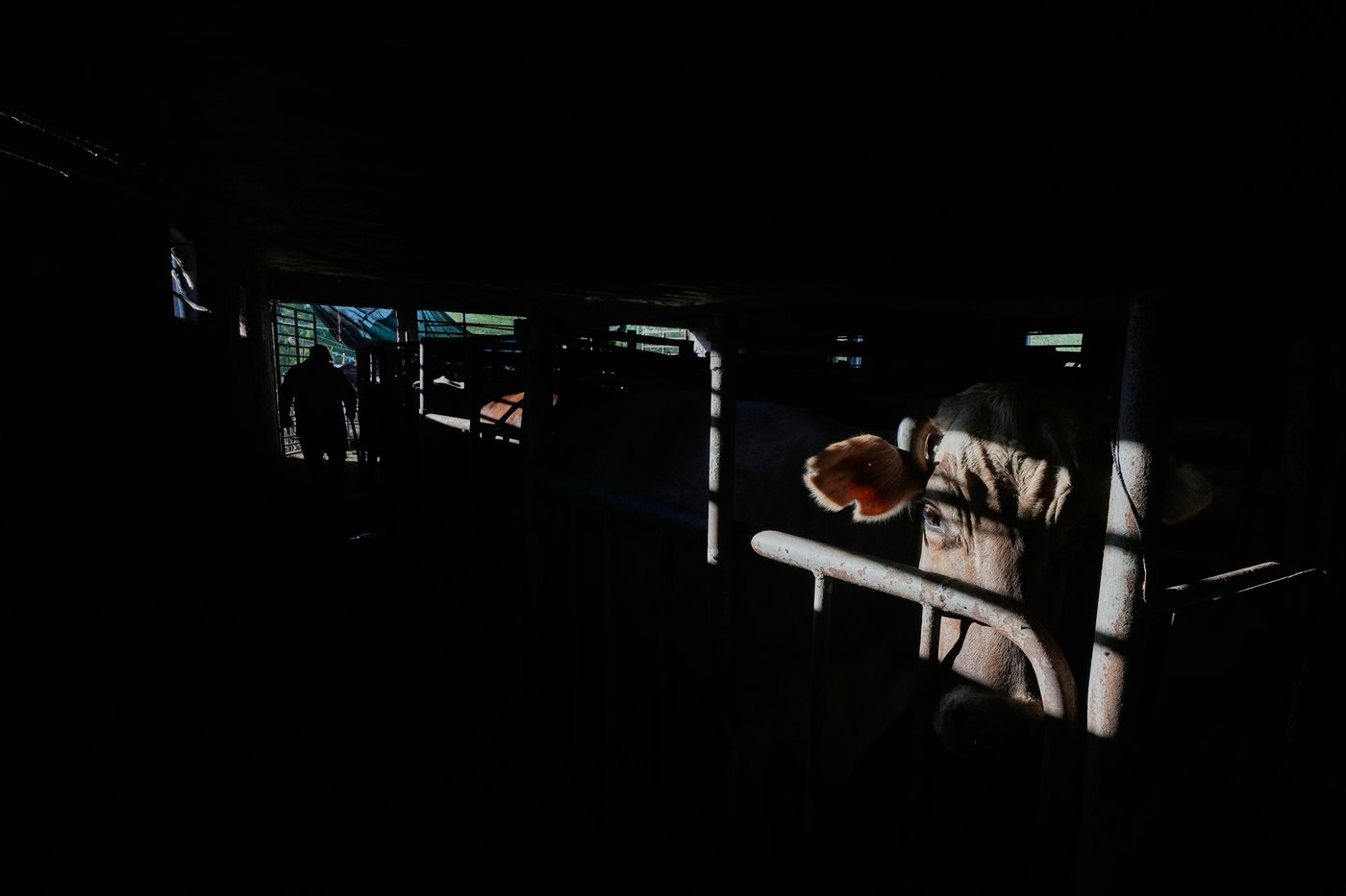 The top photos of the day by AP's photojournalists | iNFOnews.ca
