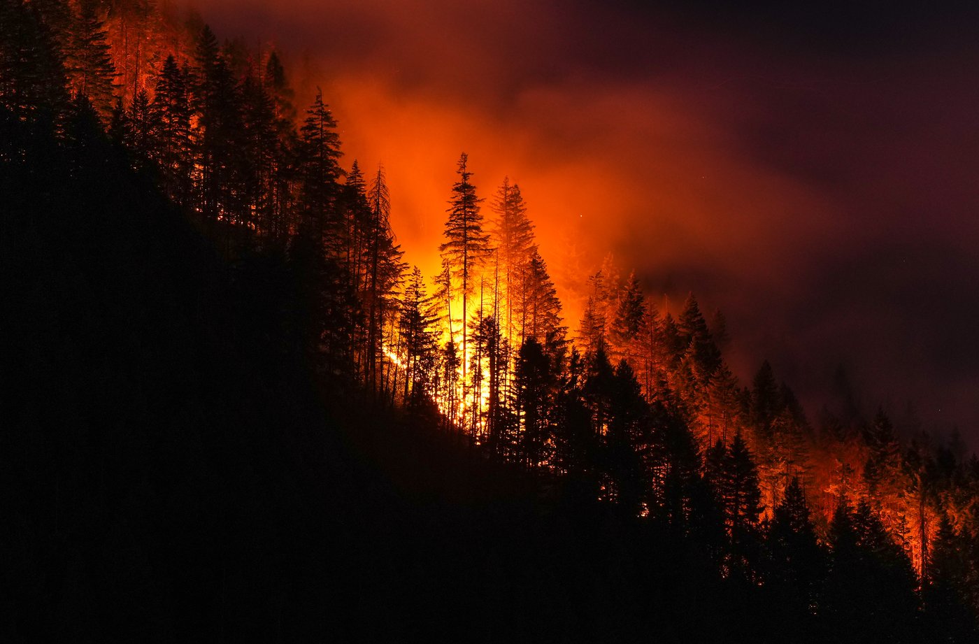 Visitor fought B.C. wildfire with frying pan. But it became an inferno | iNwheels