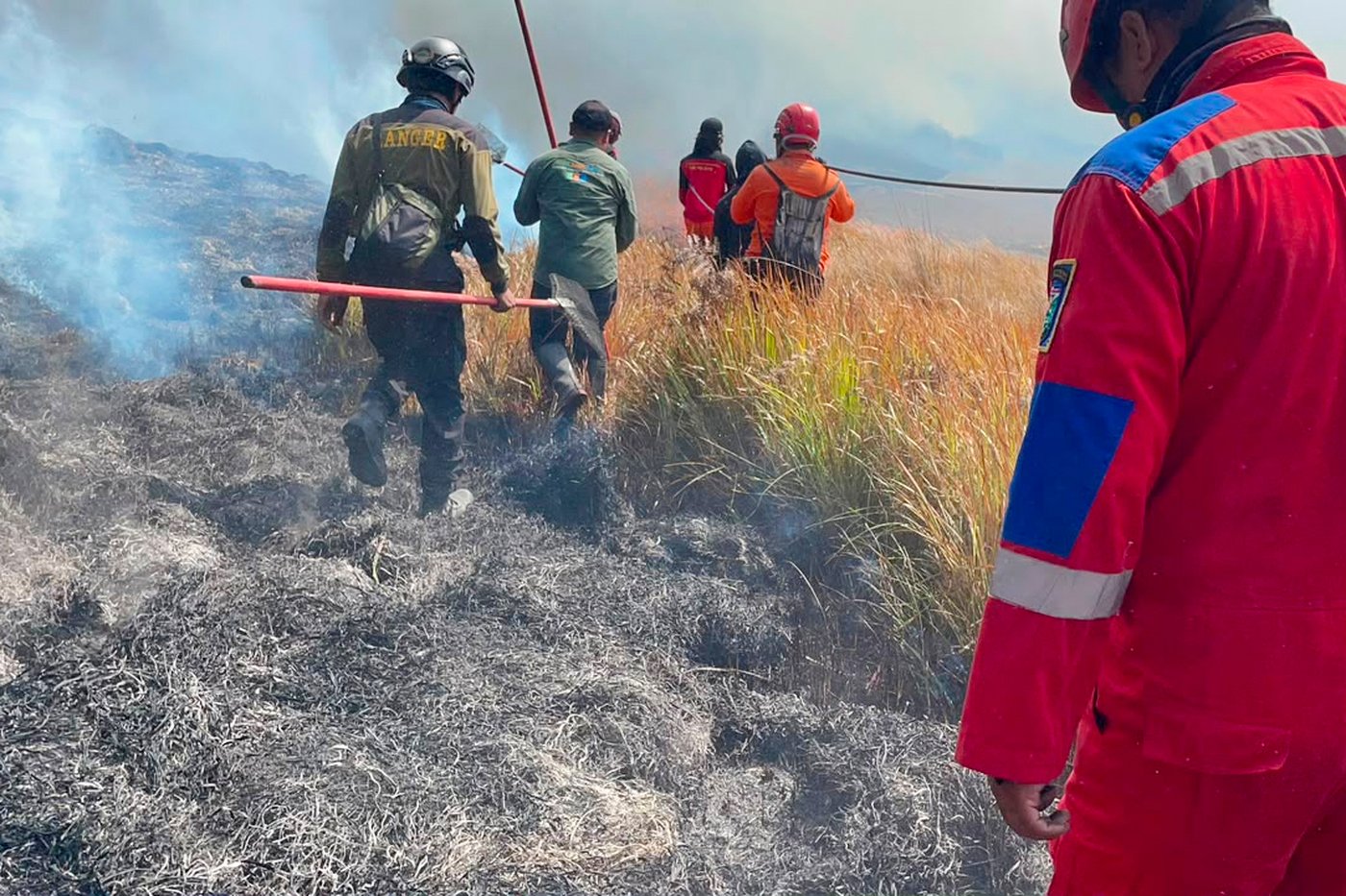 Fire burns 60 hectares in Indonesia’s Mount Bromo National Park | iNFOnews.ca Fire burns 60 hectares in Indonesia’s Mount Bromo National Park | iNFOnews.ca