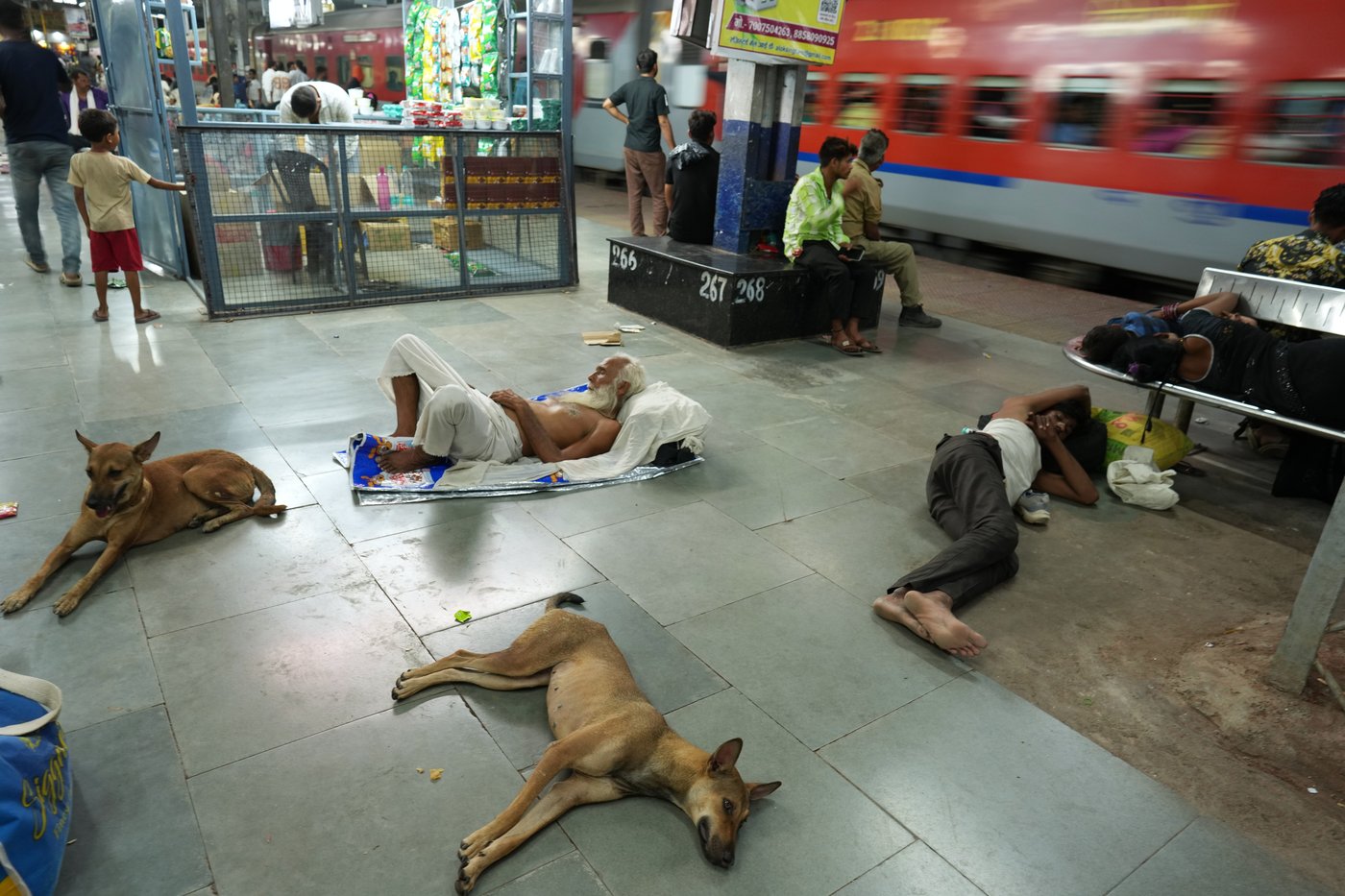 The top photos of the day by AP photojournalists | iNFOnews.ca