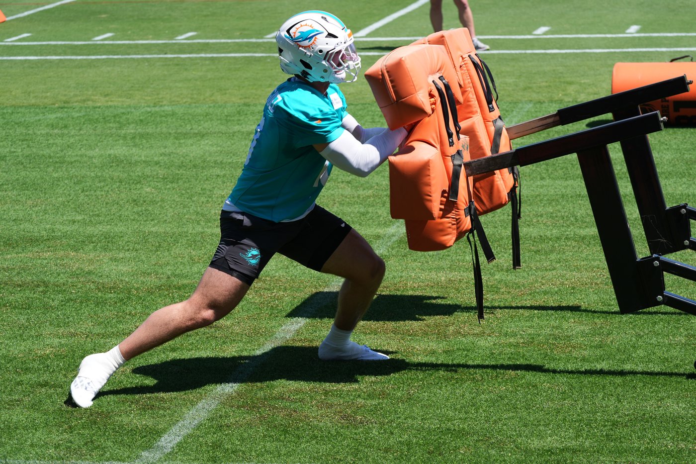 Jacob Rodriguez aims to follow Zach Thomas's legacy with the Miami Dolphins | iNFOnews.ca