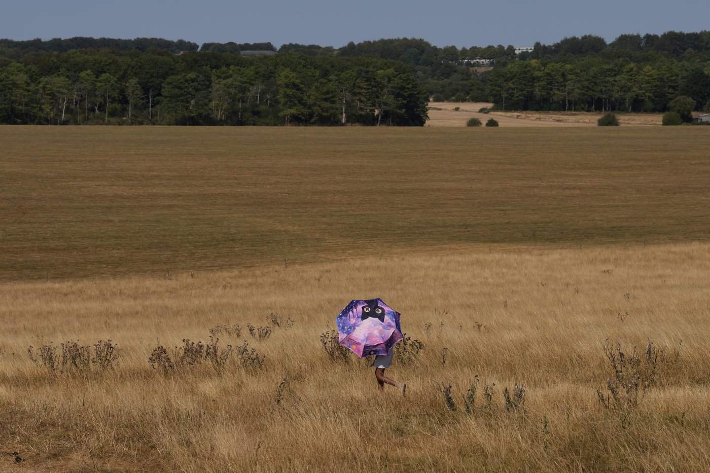 UK firefighters out in force to tackle fires on hottest day of the year | iNFOnews.ca