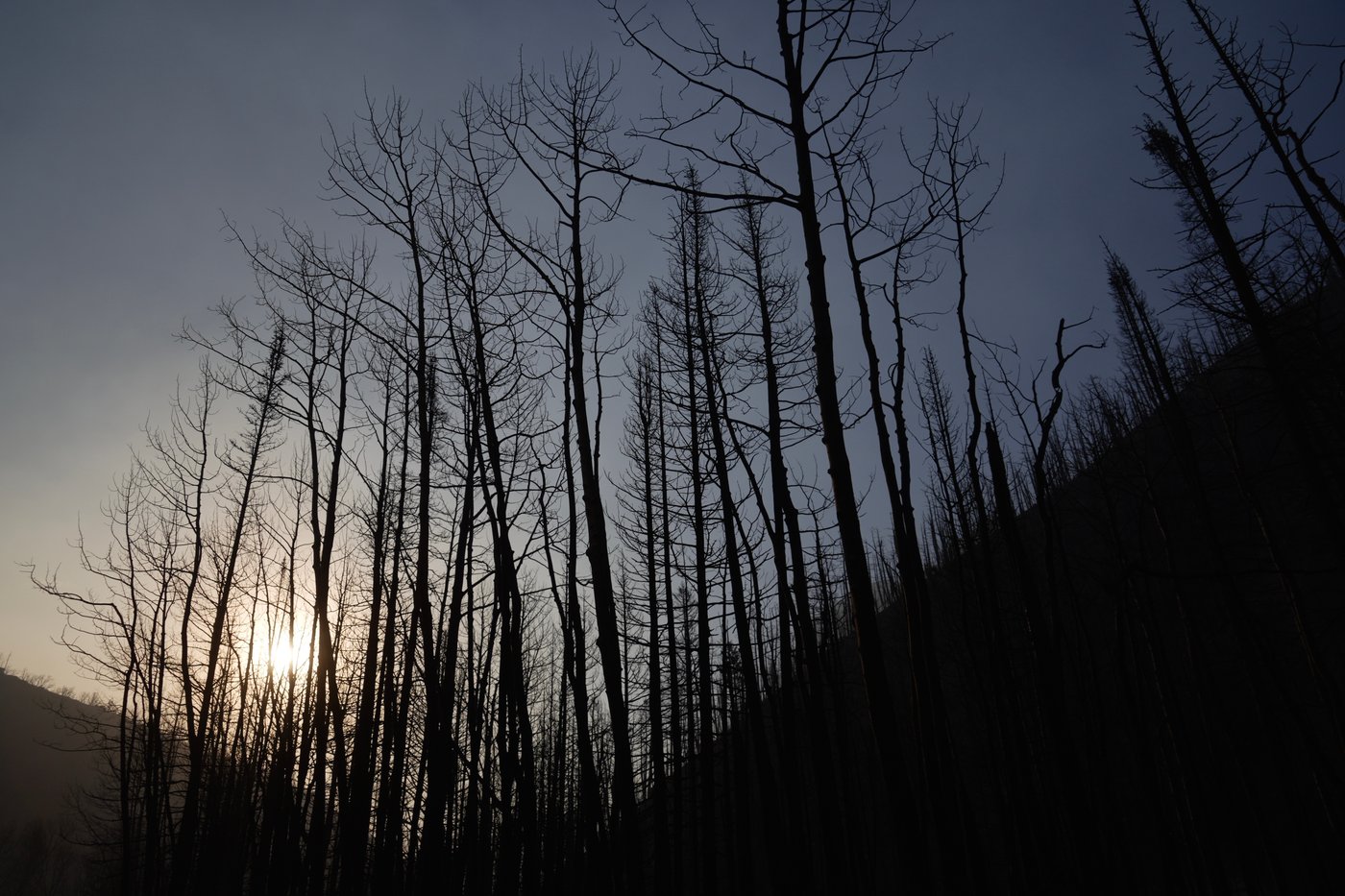 Winds hamper crews as fast-moving fire in Utah, the largest in the US, burns through forests | iNFOnews.ca
