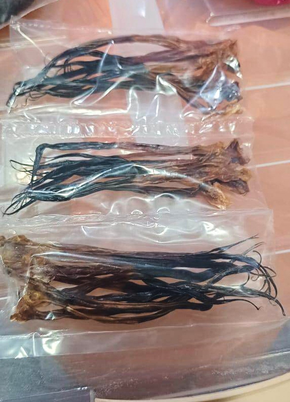 Vietnamese man pleads guilty to possessing protected python parts in Malaysia | iNFOnews.ca