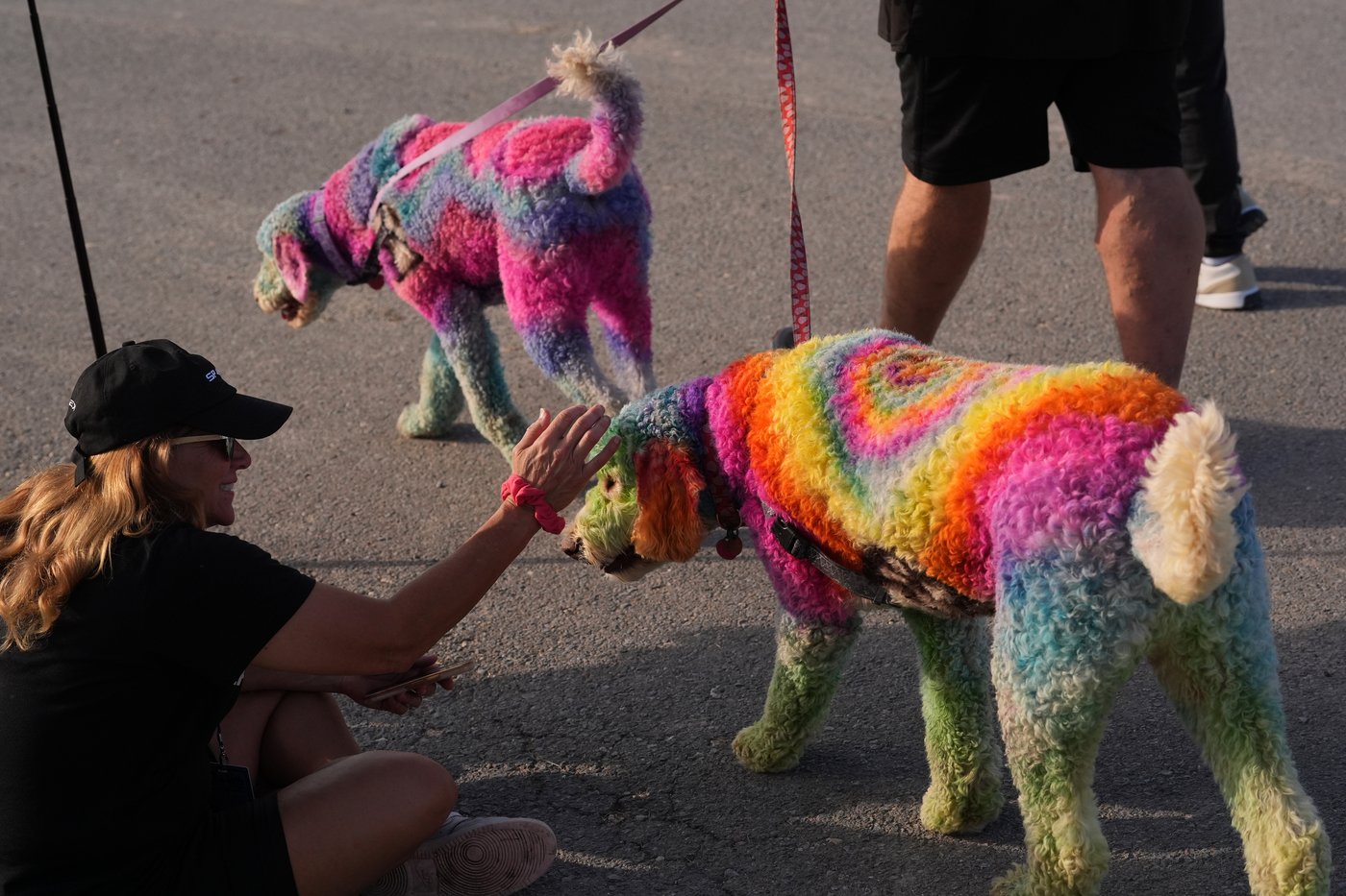 Daily life around the world, in photos | iNFOnews.ca