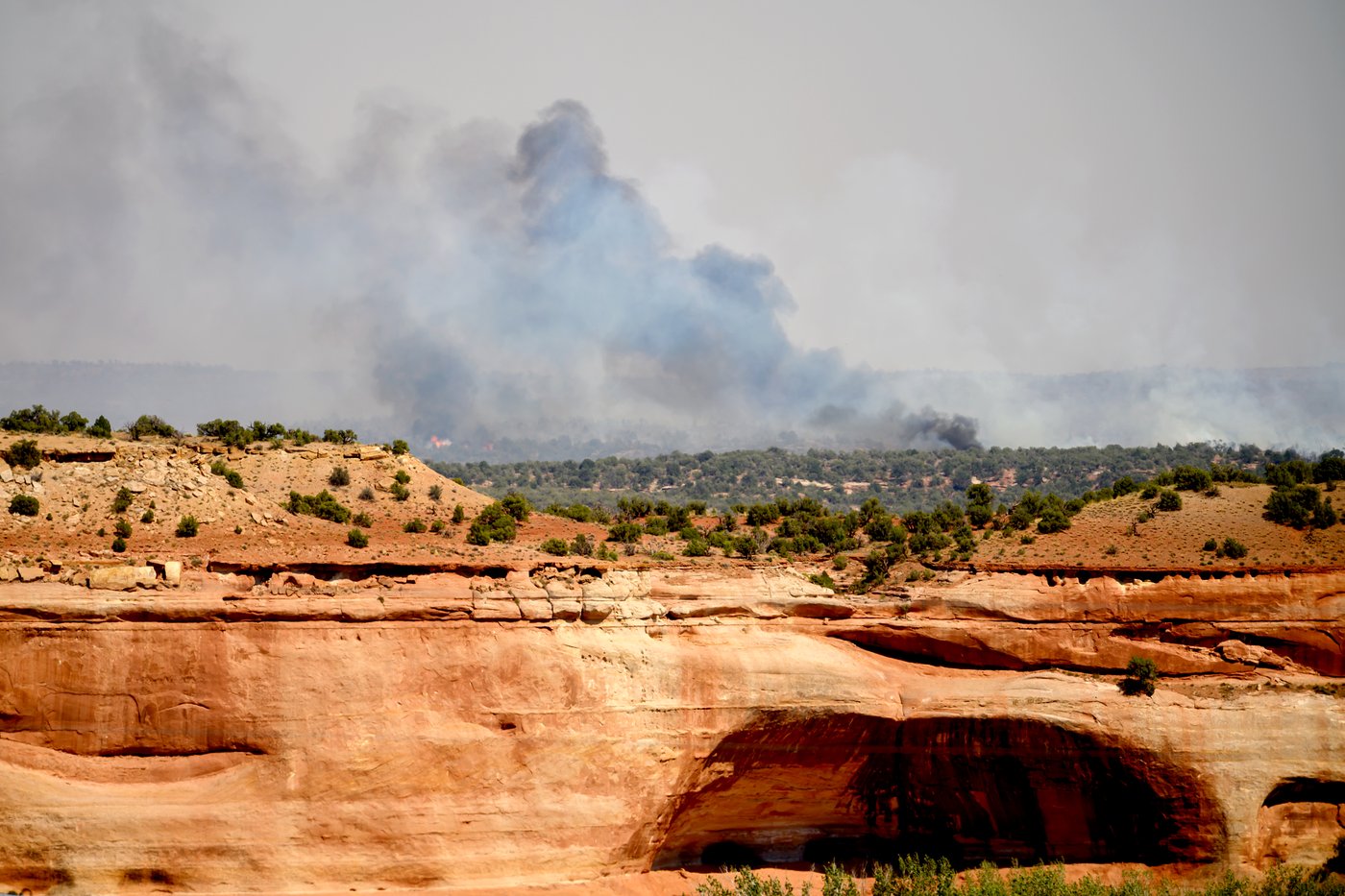 3 firefighters killed in Colorado as wildfires stoked by heat, wind rage across the West | iNFOnews.ca