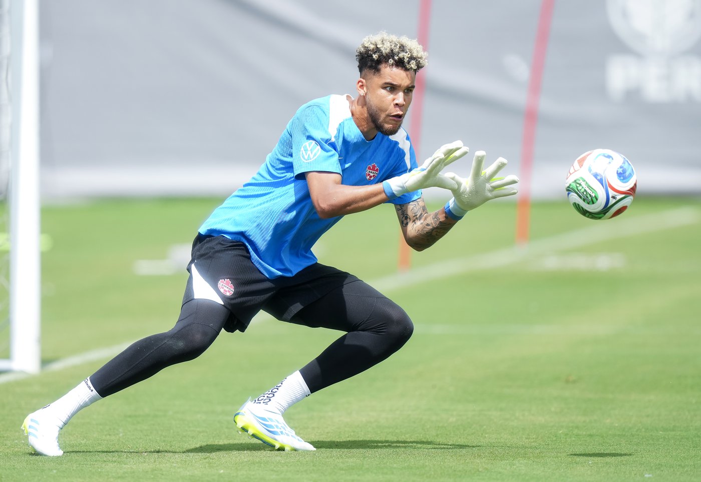 Maxime Crépeau named Canada's starting goalkeeper for World Cup | iNFOnews.ca