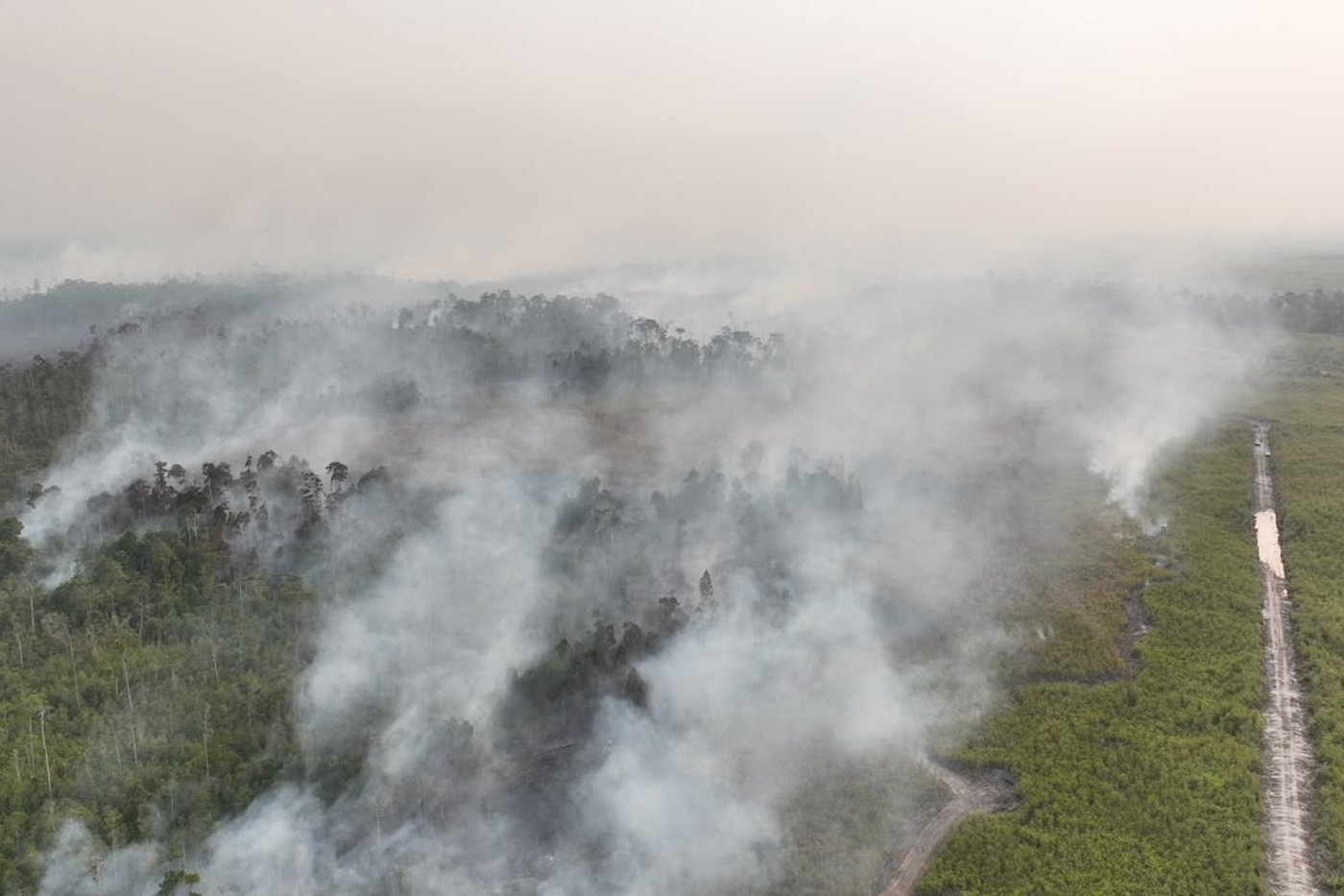 Indonesia warns against starting open blazes as haze from wildfires spreads to Malaysia | iNFOnews.ca Indonesia warns against starting open blazes as haze from wildfires spreads to Malaysia | iNFOnews.ca