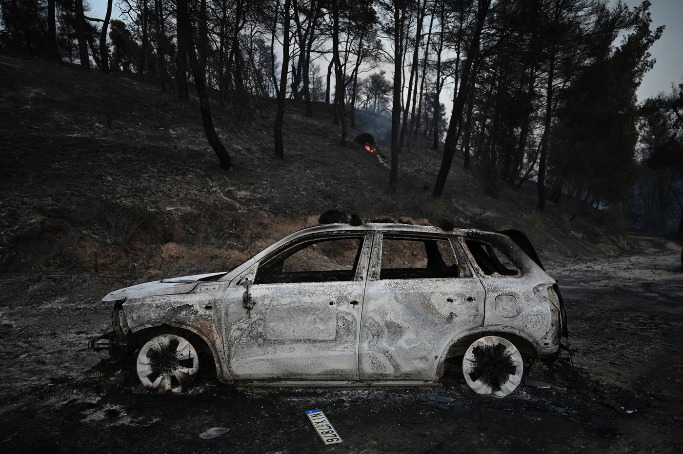 The top photos of the week by AP photojournalists | iNFOnews.ca
