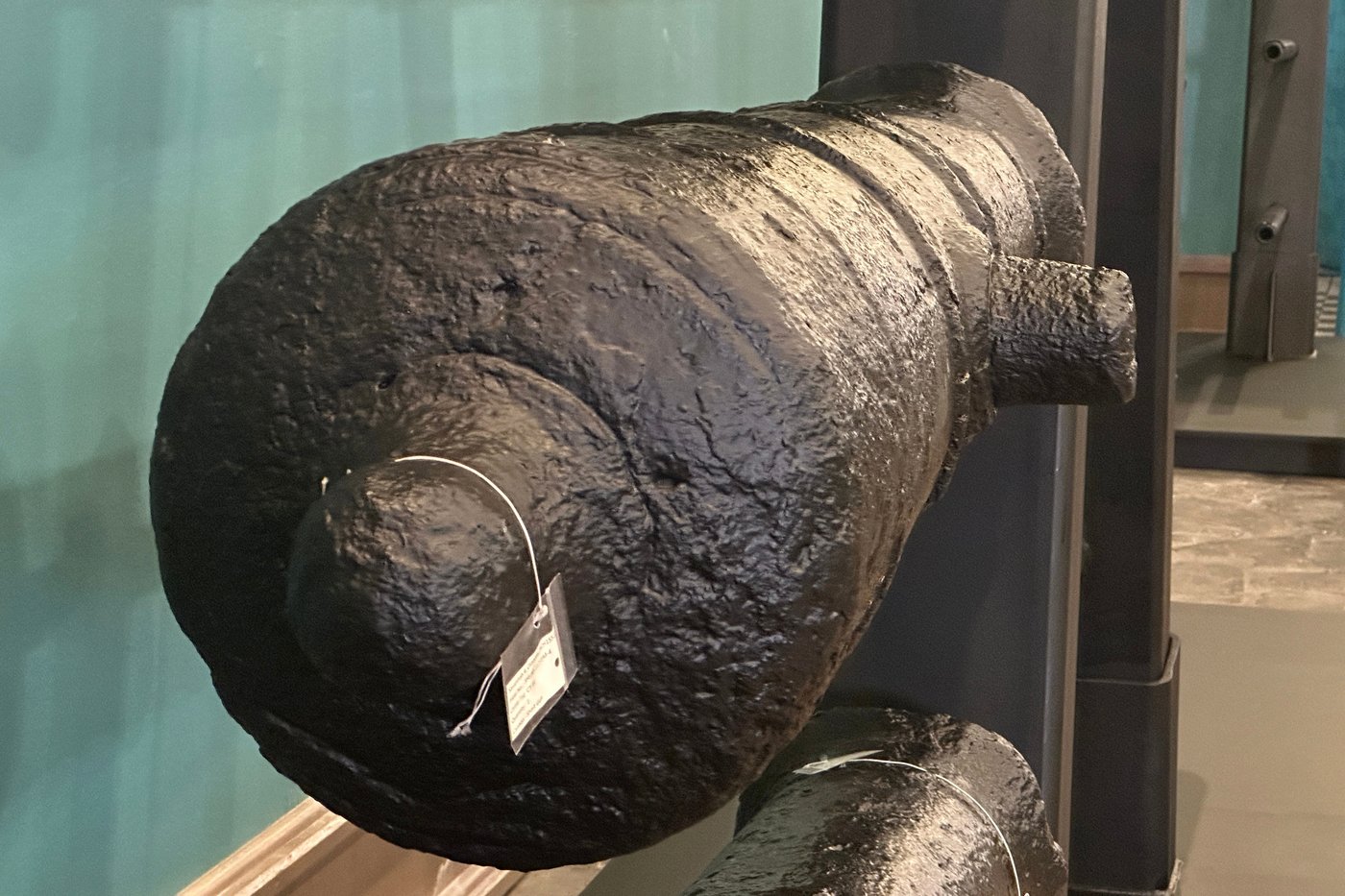 Cannons lost underwater during the American Revolution will soon go on display at a Georgia museum | iNFOnews.ca