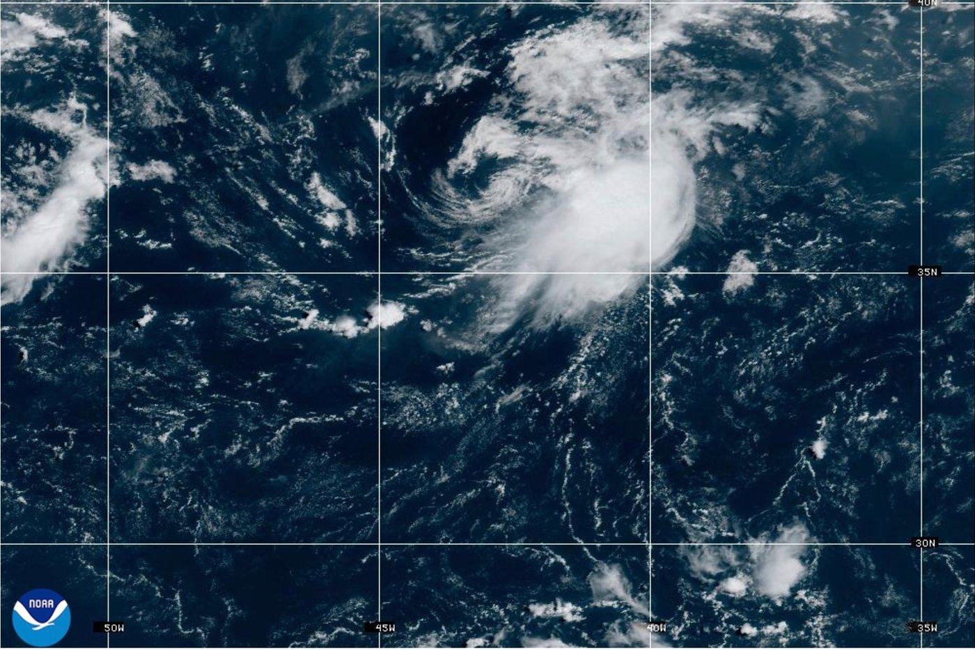 Tropical Storm Hernan forms in the Pacific while a different weather system could soak Hawaii | iNFOnews.ca