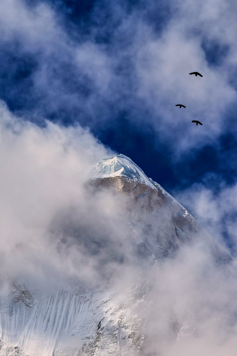 See the world in vertical: Top photos by AP photojournalists | iNFOnews.ca