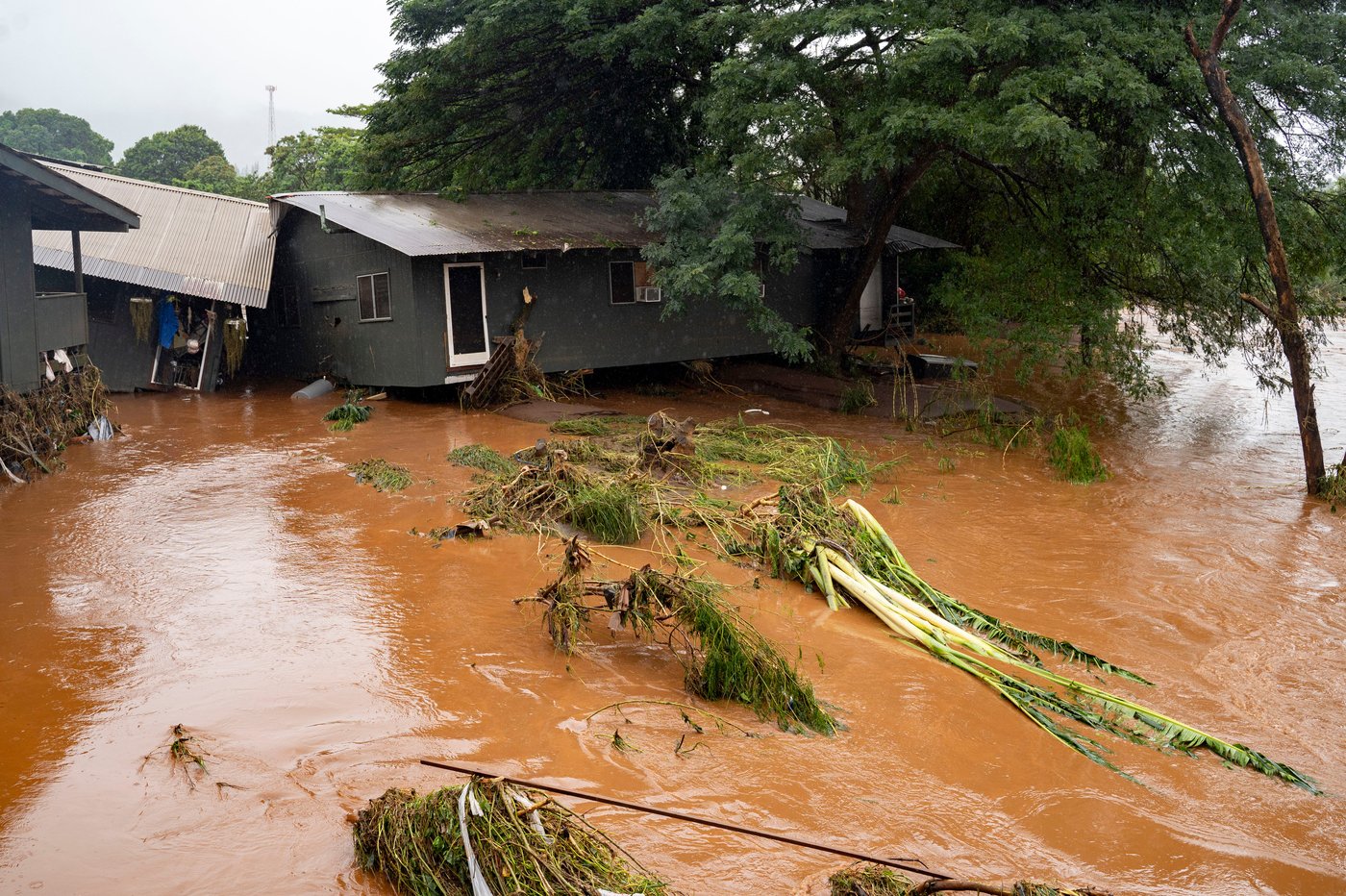 Flying blind: Honolulu officials held off evacuations as North Shore flooded | iNFOnews.ca Flying blind: Honolulu officials held off evacuations as North Shore flooded | iNFOnews.ca