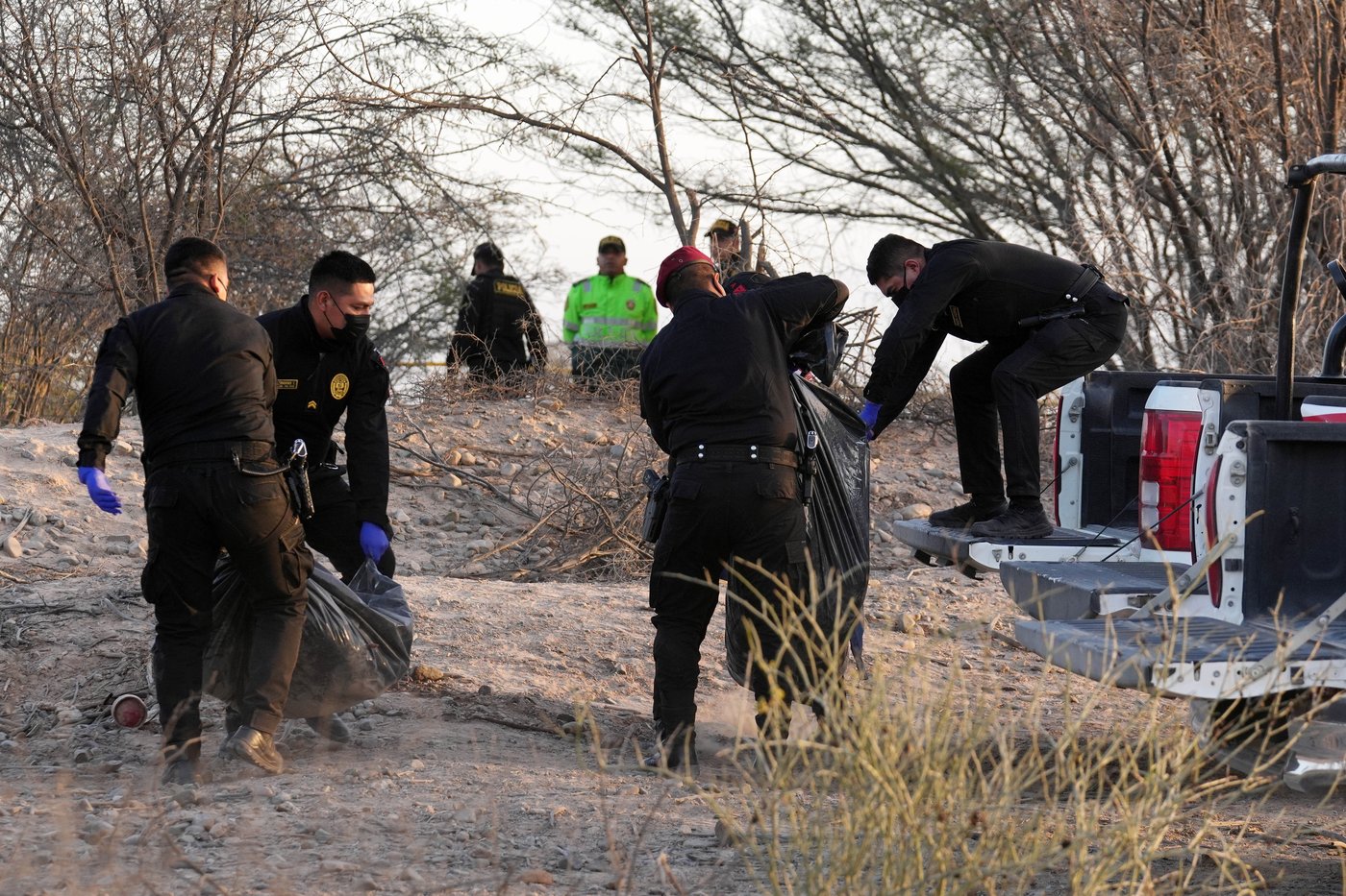 Plane carrying European tourists crashes in Peru, killing 13 people on Nazca Lines viewing flight | iNFOnews.ca Plane carrying European tourists crashes in Peru, killing 13 people on Nazca Lines viewing flight | iNFOnews.ca