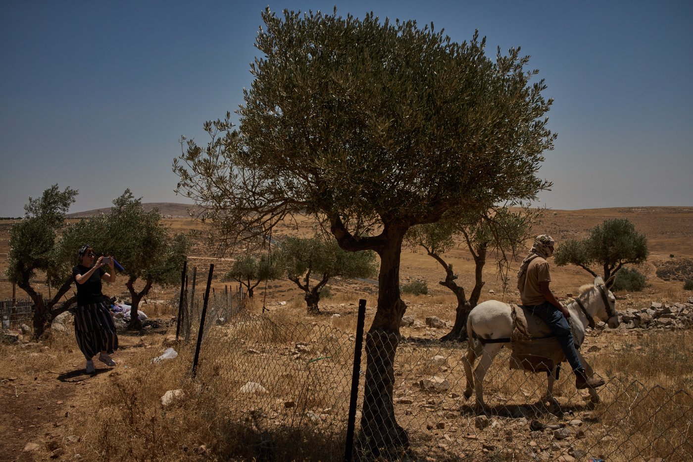 PHOTO ESSAY: Palestinian shepherds endure life alongside Israeli settler outposts | iNFOnews.ca