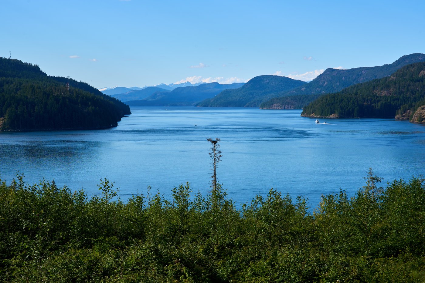 British Columbia is logging its last old growth. Protesters are sleeping in the road to stop it | iNFOnews.ca British Columbia is logging its last old growth. Protesters are sleeping in the road to stop it | iNFOnews.ca