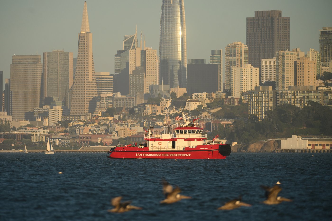 Search suspended for 3 missing after boat with family spreading ashes capsizes on San Francisco Bay | iNFOnews.ca