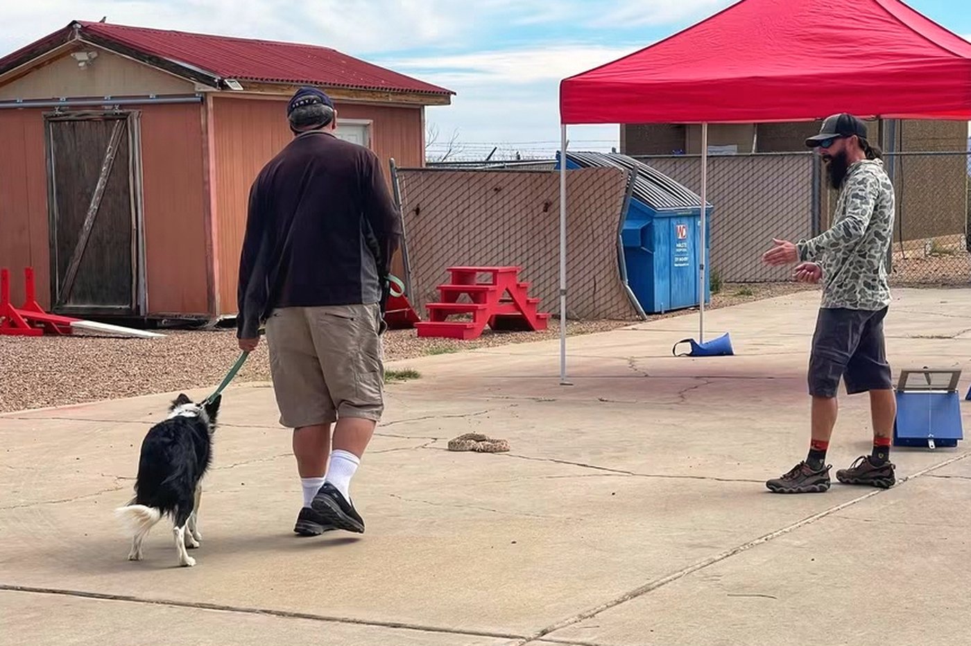 Leave it: Dog trainers help pets avoid poisonous snakes | iNFOnews.ca Leave it: Dog trainers help pets avoid poisonous snakes | iNFOnews.ca