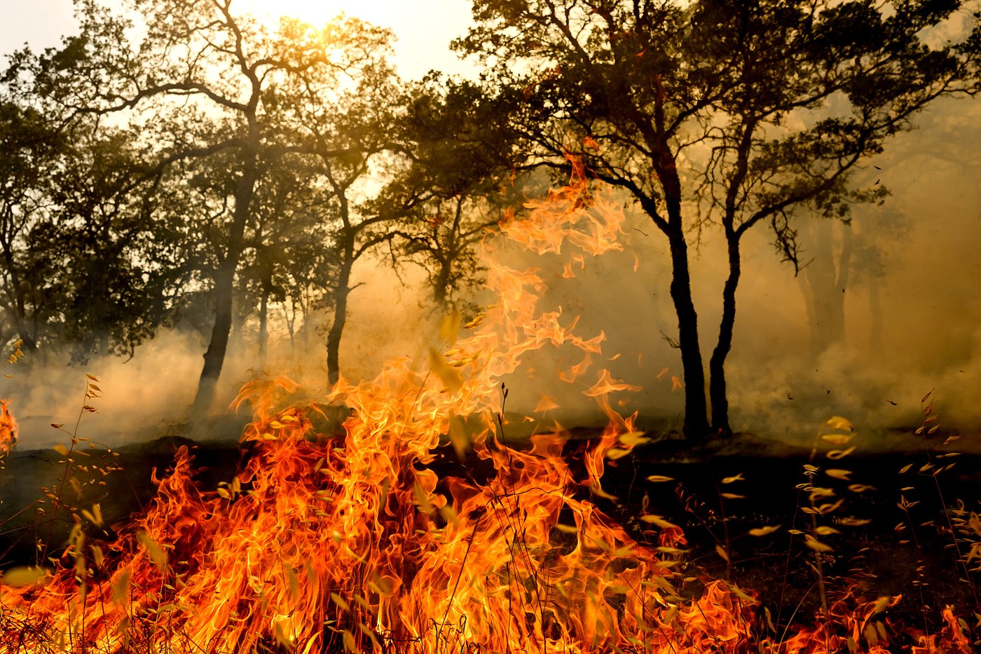 Body found in California home burned by wildfire believed started by chain saw | iNFOnews.ca
